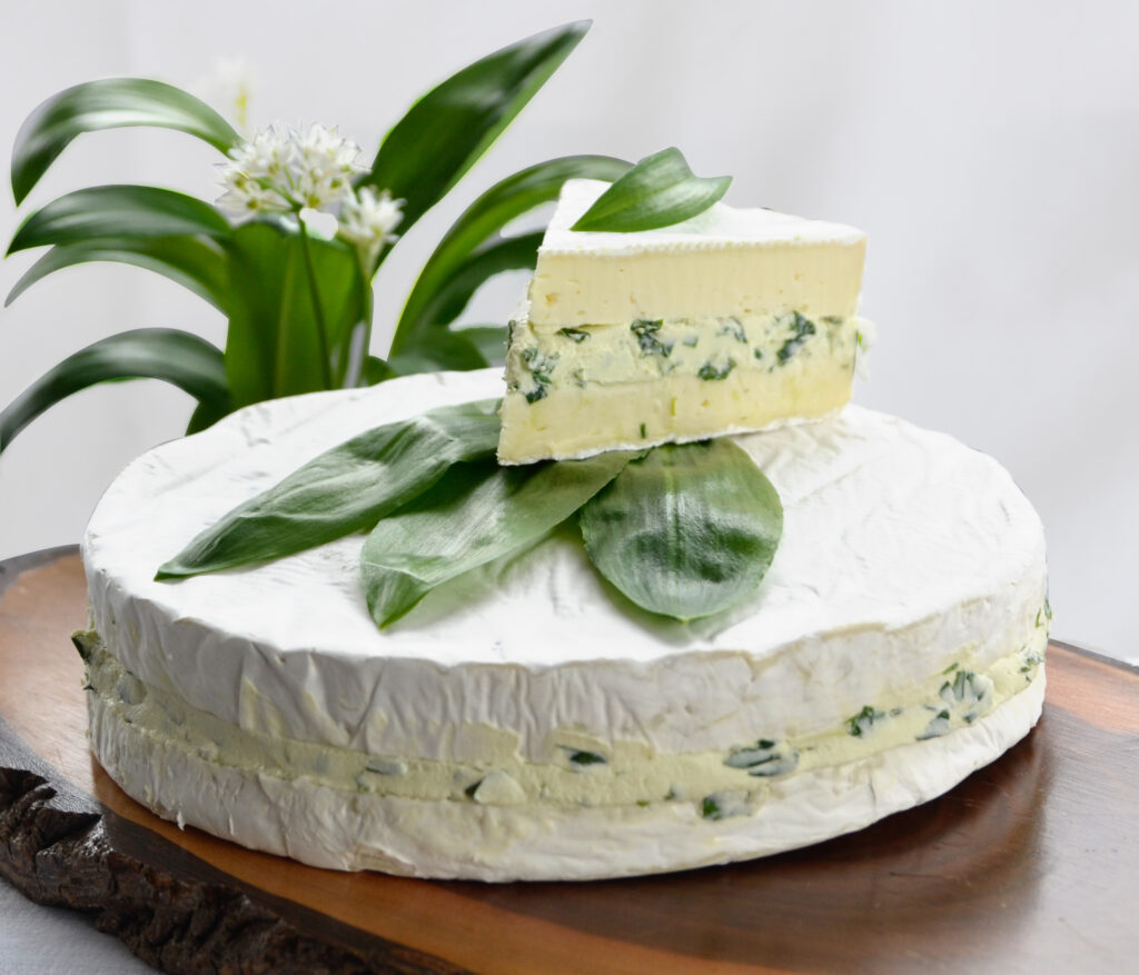 Saison-Highlight: Eine feine Brietorte gefüllt mit frischem Bärlauch.